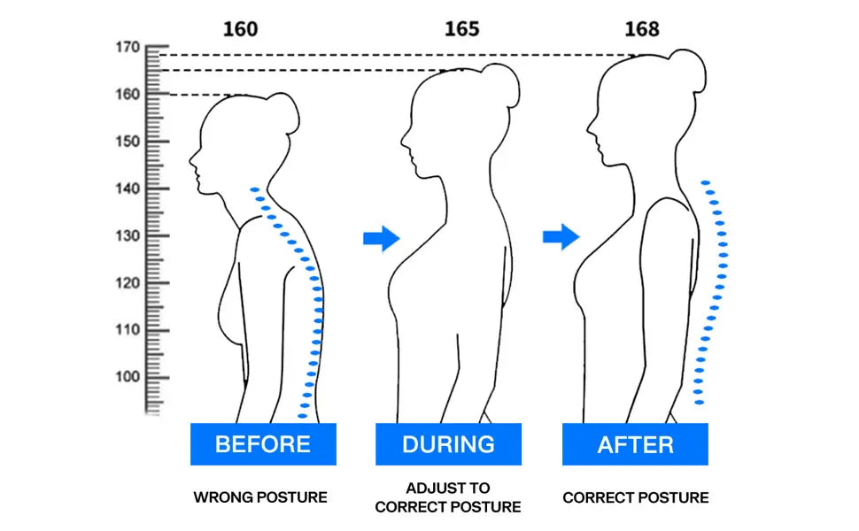 Sangle de posture pour le dos